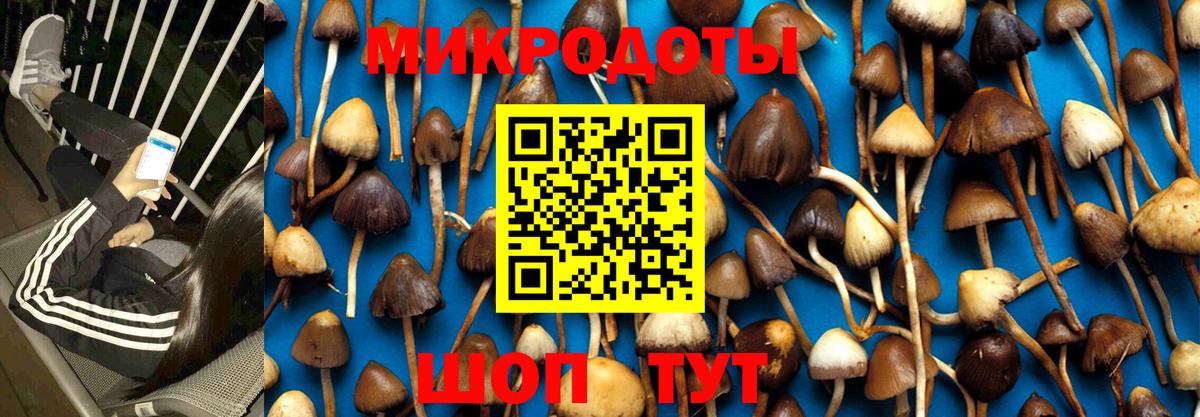 Заринск  Псилоцибиновые грибы прущие грибы  Вход с VPN  как найти   Галлюциногенные грибы Magic Shrooms 